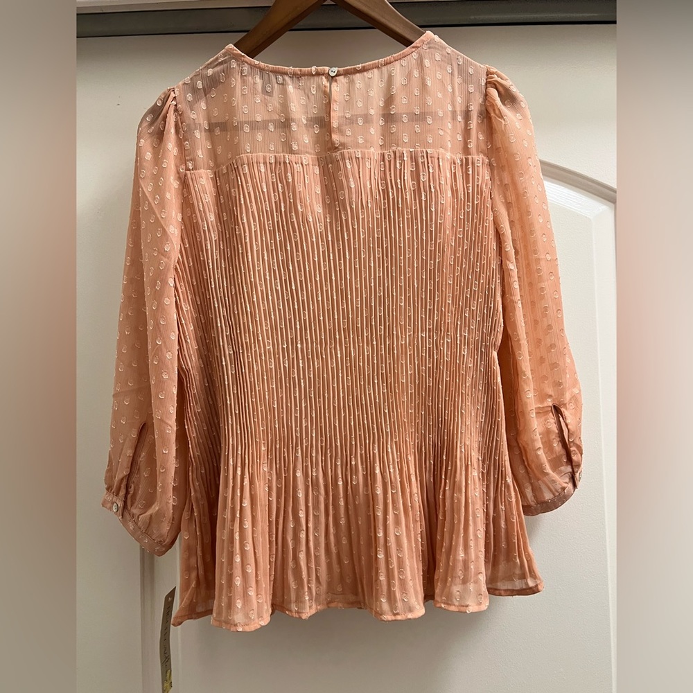 NWT Figueroa & Flower Swiss Dot Pleated Blouse - Picture 3 of 6